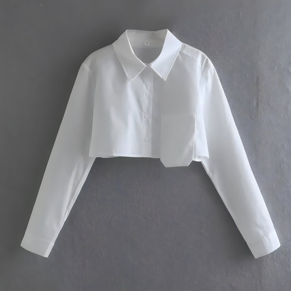 The Monica Long Sleeve Cropped Blouse